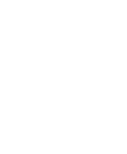 southwest trade frames logo